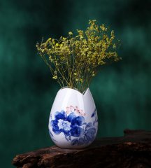 手繪青花瓷小成人抖音软件 陶瓷插成人抖音软件定製